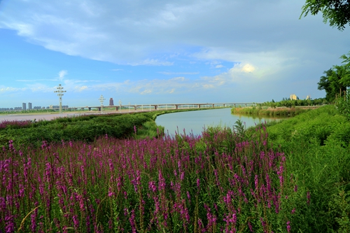 ��Ȼ ����ǿ.jpg